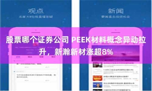 股票哪个证券公司 PEEK材料概念异动拉升，新瀚新材涨超8%