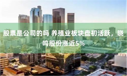 股票是公司的吗 养殖业板块盘初活跃，晓鸣股份涨近5%